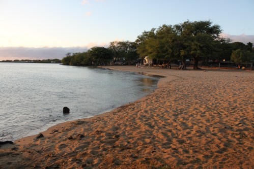 A serene beach at sunset, with soft sand, calm water, and trees lining the shore.