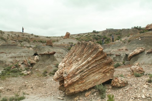 A landscape featuring large petrified wood formations and distant figures exploring the rocky terrain under a cloudy sky.