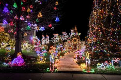 A festive display of colorful Christmas lights, featuring trees, decorations, and a pathway surrounded by holiday cheer.