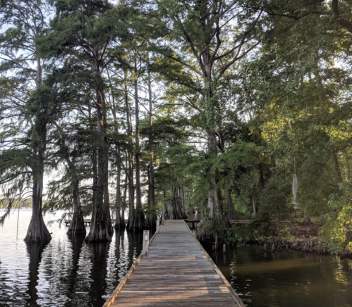 A wooden dock extends into a calm lake, surrounded by tall trees and lush greenery.