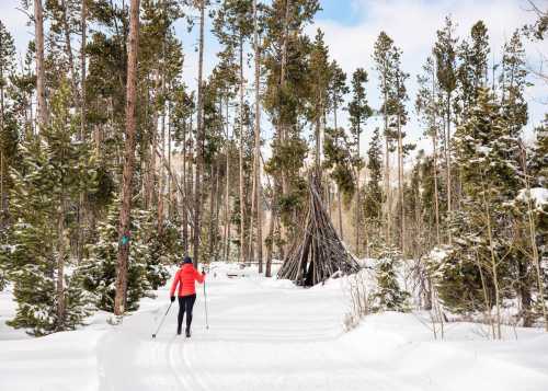 A person in a red jacket cross-country skiing through a snowy forest with tall trees and a teepee structure nearby.