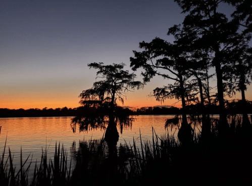 Silhouette of trees by a calm lake at sunset, with vibrant orange and purple hues in the sky.