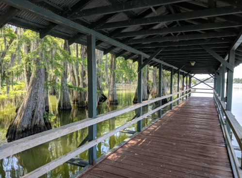 A wooden walkway under a covered structure, surrounded by cypress trees and calm water.