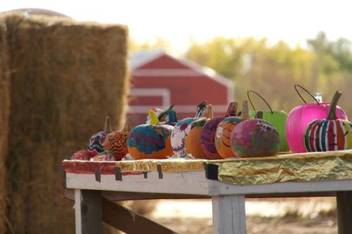 A table displays colorful, painted pumpkins with hay bales and a red barn in the background.