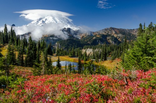 A scenic view of a mountain with a cloud cap, surrounded by lush greenery and vibrant red foliage in the foreground.