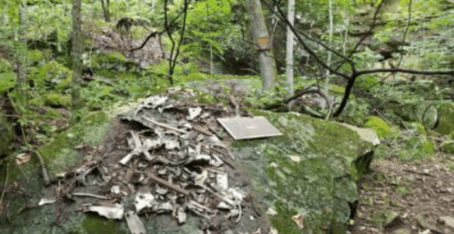 A large rock covered with debris and remnants, surrounded by dense green foliage in a forested area.