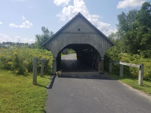 A wooden covered bridge spans a path surrounded by greenery and wildflowers under a blue sky with fluffy clouds.