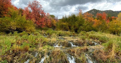 A serene landscape featuring a flowing stream surrounded by vibrant autumn foliage and distant mountains under a cloudy sky.