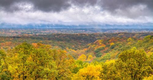A panoramic view of a colorful forest in autumn, with vibrant orange and yellow leaves under a cloudy sky.
