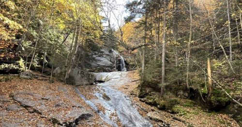 A serene forest scene with a waterfall cascading over rocks, surrounded by autumn foliage and trees.