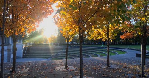 A sunlit park scene with vibrant autumn trees and fallen leaves, featuring a curved stone seating area.