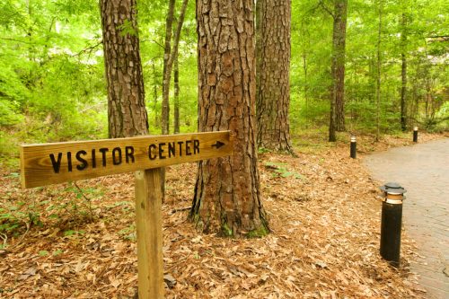 Wooden sign pointing left to "Visitor Center" along a path surrounded by tall trees and soft lighting.