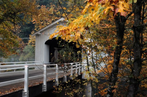 A covered bridge surrounded by vibrant autumn foliage and trees, with a road leading up to it.
