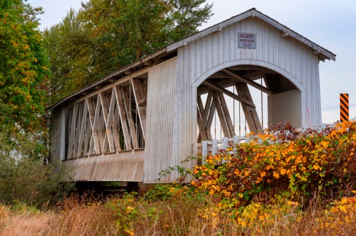 A rustic covered bridge surrounded by autumn foliage and tall grass under a cloudy sky.