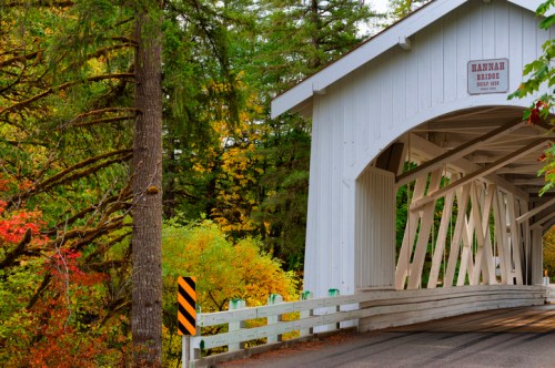 A white covered bridge surrounded by vibrant autumn foliage and trees.