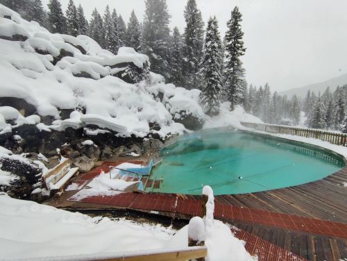 A snowy landscape featuring a partially frozen outdoor pool surrounded by rocks and pine trees.
