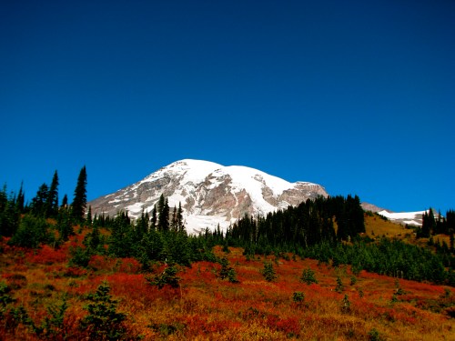 Snow-capped mountain rises above vibrant autumn foliage and evergreen trees under a clear blue sky.