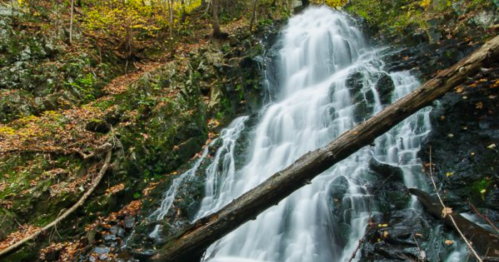 A serene waterfall cascades over rocks, surrounded by autumn foliage and fallen leaves. A log rests across the scene.