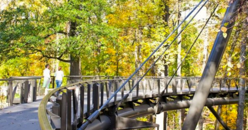A winding bridge through a colorful autumn forest, with two people standing in the distance.