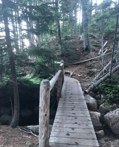 A wooden bridge leads through a forested area with trees and rocky terrain.