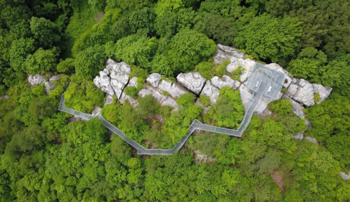 Aerial view of a winding pathway through lush greenery, leading to rocky outcrops in a natural landscape.