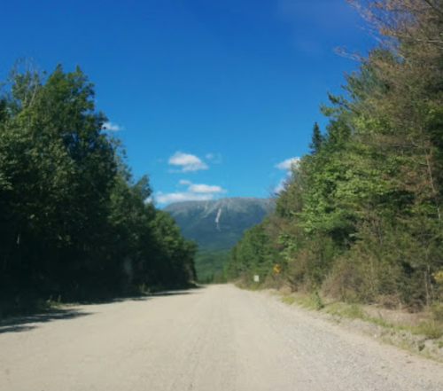 A gravel road lined with trees, leading to a mountain under a clear blue sky with a few clouds.
