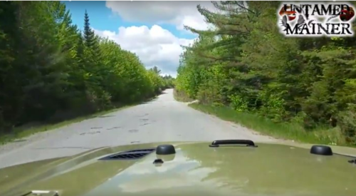 A view from the front of a vehicle driving down a tree-lined dirt road on a sunny day.