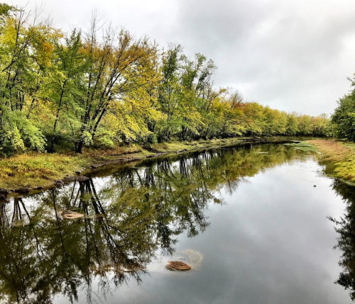 A serene river scene with trees reflecting on the calm water under a cloudy sky.