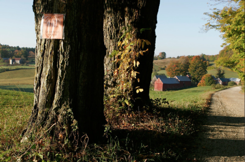 A scenic rural landscape with a dirt road, trees, and distant barns surrounded by autumn foliage.