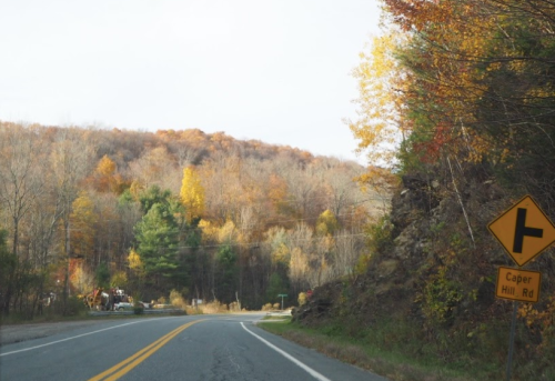 A winding road with a yellow directional sign, surrounded by autumn foliage on the hills.