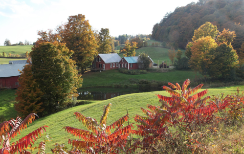 A scenic view of a red barn surrounded by colorful autumn trees and a calm pond in a rural landscape.