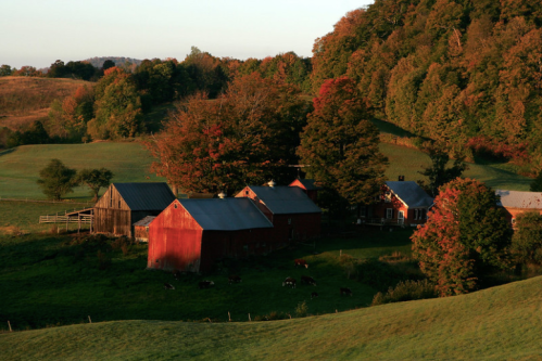 A scenic view of a farm with red barns surrounded by trees in autumn colors and rolling green hills.