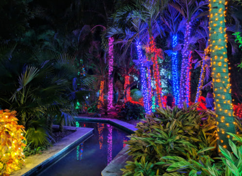 A vibrant garden at night, featuring palm trees adorned with colorful lights and a serene waterway.