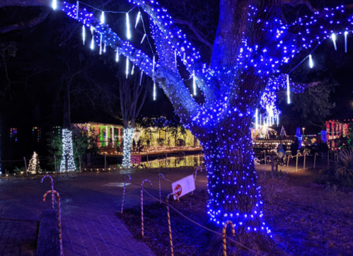 A tree adorned with blue and white lights, surrounded by festive decorations and candy canes at night.