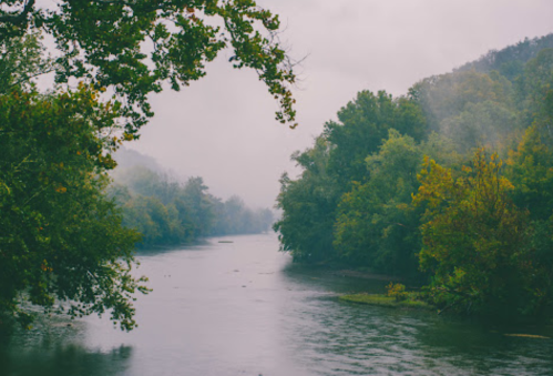 A misty river flows between lush green trees, creating a serene and tranquil landscape.