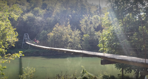 A suspension bridge spans a river, surrounded by lush green trees and sunlight filtering through the foliage.