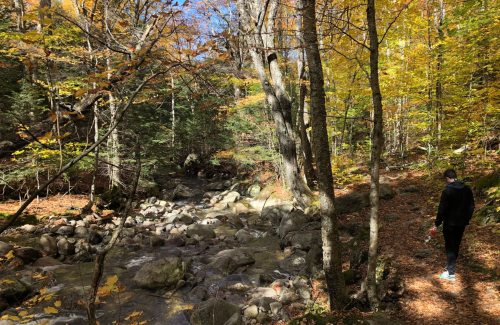 A person walks along a rocky path beside a stream, surrounded by vibrant autumn foliage and trees.