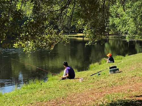 Two children fishing by a calm lake, surrounded by greenery on a sunny day.