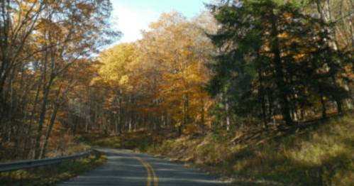 A winding road surrounded by vibrant autumn trees in shades of orange, yellow, and green under a clear blue sky.