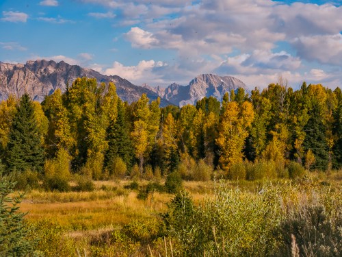 A scenic landscape featuring autumn trees, mountains in the background, and a clear blue sky with scattered clouds.
