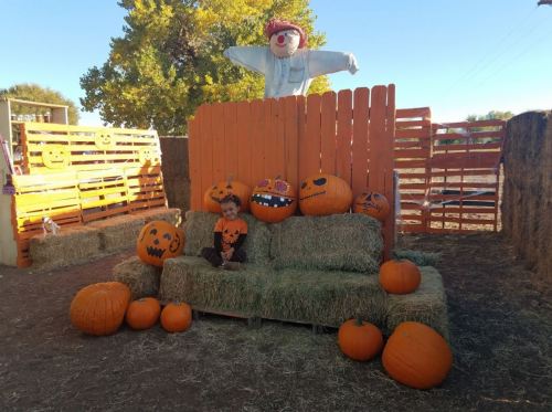 A scarecrow stands behind a wooden fence, surrounded by carved pumpkins and hay bales in a festive autumn setting.