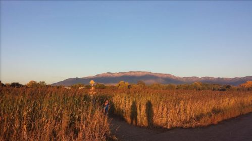 A scenic view of a grassy field with mountains in the background under a clear blue sky during sunset.