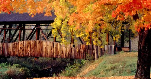 A wooden bridge surrounded by vibrant autumn foliage in shades of orange and yellow.