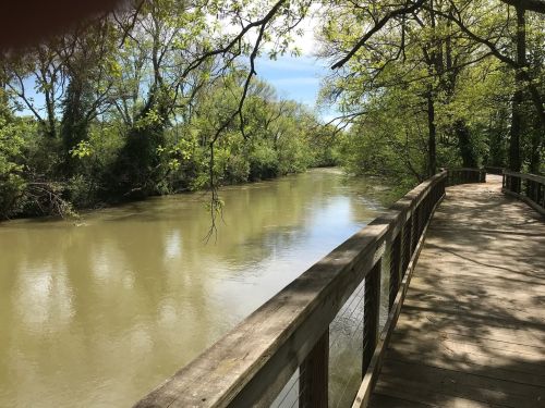 A wooden walkway beside a calm river, surrounded by lush green trees under a clear blue sky.