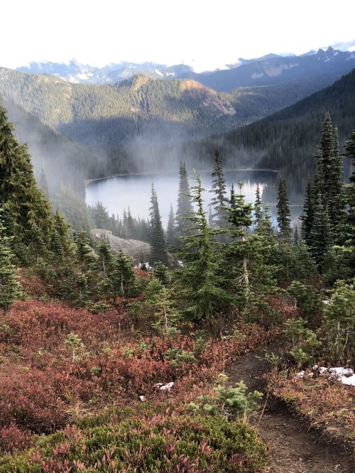 A misty mountain landscape with a serene lake surrounded by evergreen trees and colorful foliage.