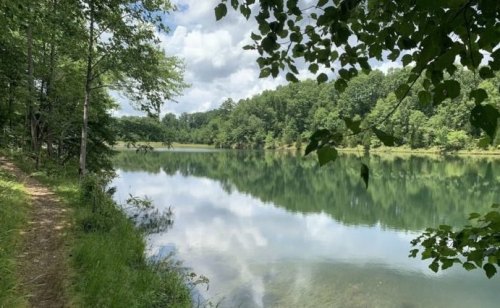 A serene lake surrounded by lush greenery and trees, reflecting clouds in the calm water under a blue sky.