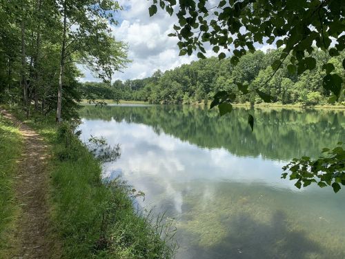 A serene lake surrounded by lush greenery and trees, reflecting the sky and clouds on a calm day.