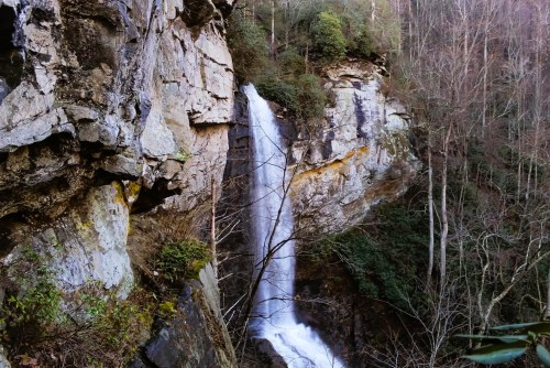 A cascading waterfall flows down rocky cliffs, surrounded by trees and lush greenery in a serene natural setting.