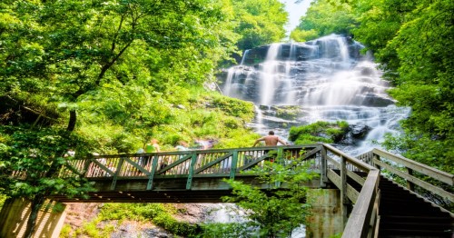 A wooden bridge in front of a lush waterfall surrounded by greenery and people enjoying the scenic view.
