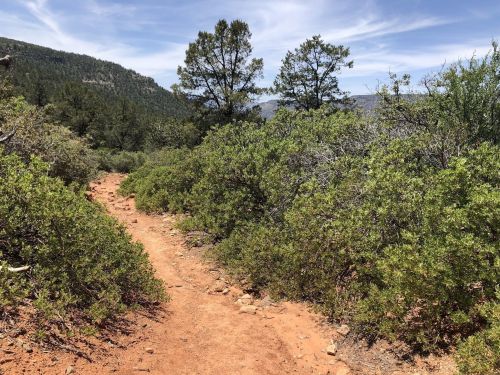 A dirt trail winds through lush green shrubs and trees under a blue sky with wispy clouds.